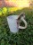 Kubek Muchomor 340 ml