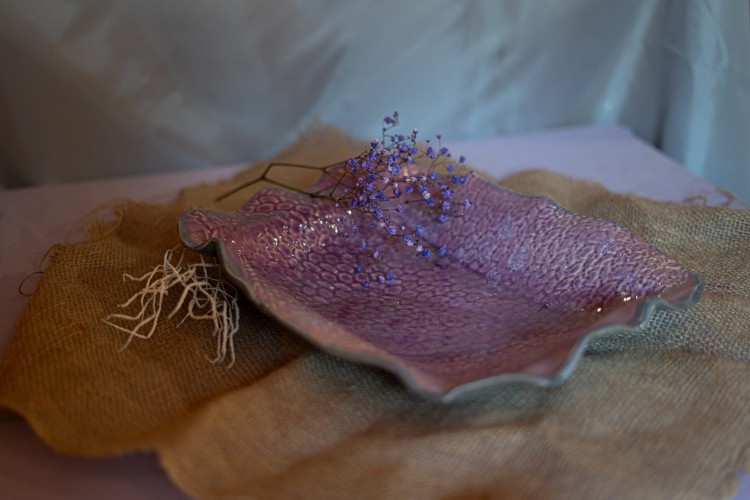 Patera Pink
