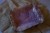 Patera Pink