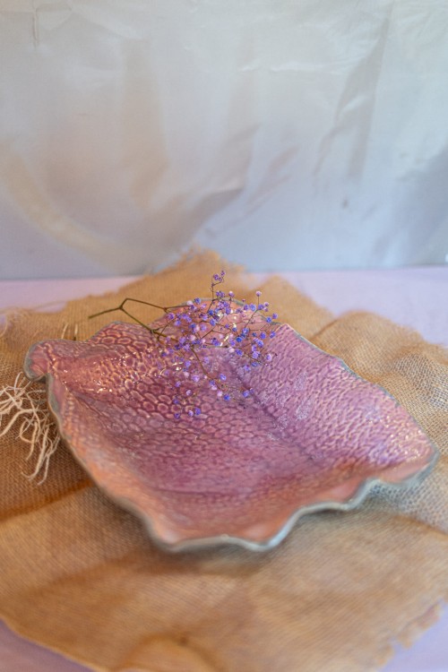 Patera Pink