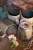 Kubek Mocca 200 ml